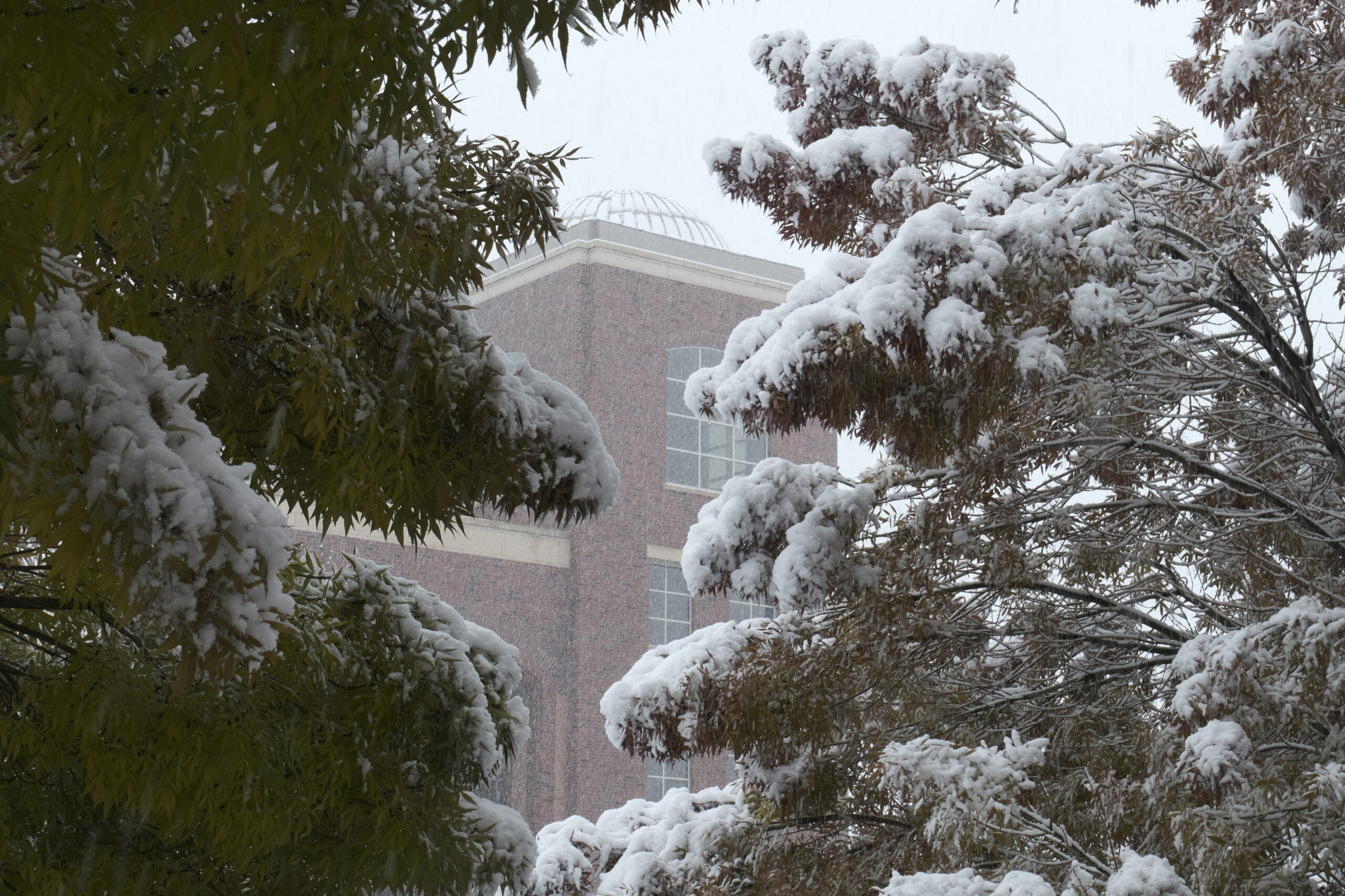It’s the most wonderful time of the year: snow canceling classes