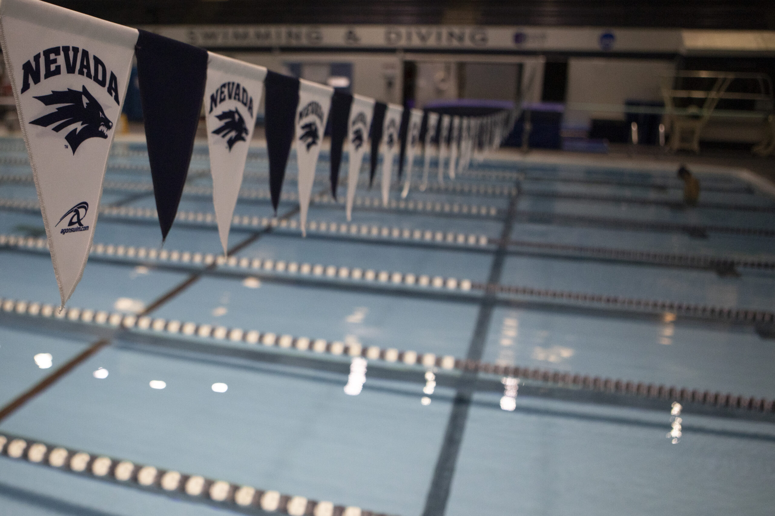 Swim and Dive takes home multiple medals, sets numerous records in Mountain West Championship