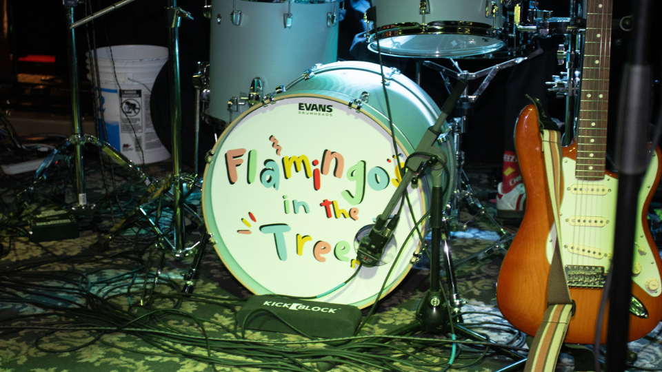 “We’re all just flamingos, and the tree brings us together” – Flamingos in the Tree take the stage at the Holland Project 