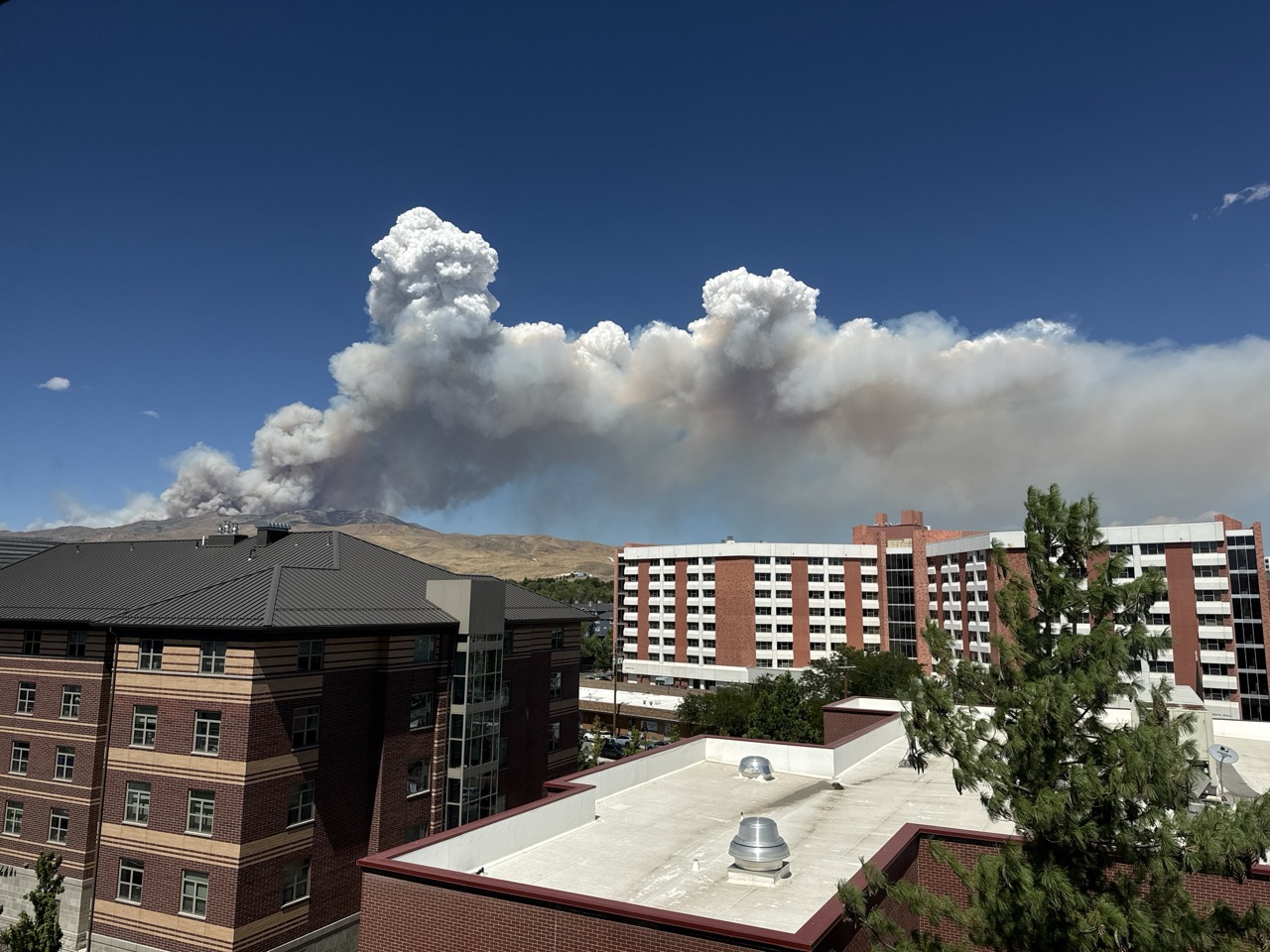 Students React to Campus Operations Continuing Despite Hawk Fire 