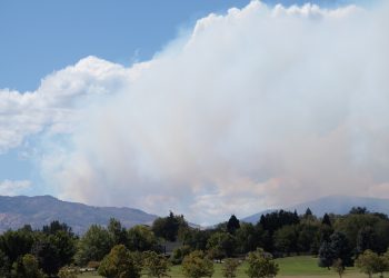 Wildfire smoke above trees and large grass field in Rancho San Rafael park.