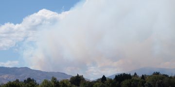 Wildfire smoke above trees and large grass field in Rancho San Rafael park.
