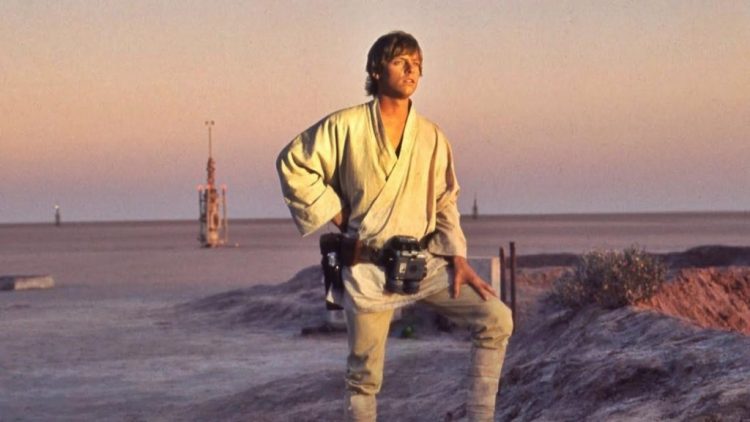 Luke Skywalker overlooking his home.