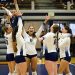 Nevada volleyball celebrates scoring a point against the Miners at Virginia Street Gym on Thursday, Oct.8.